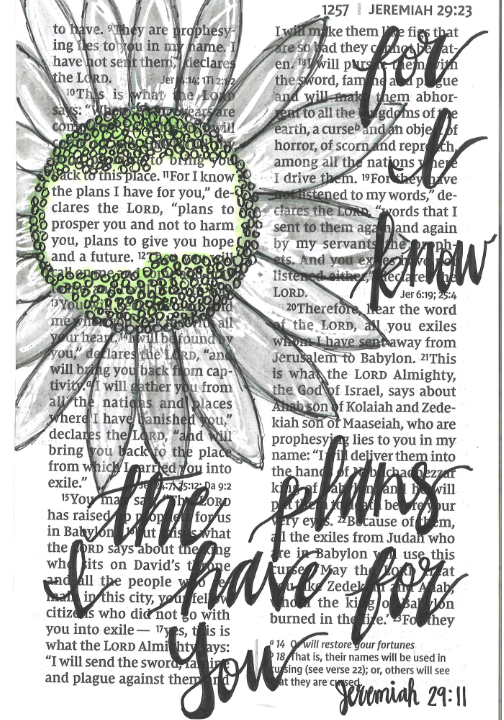 For I Know The Plans (Black & White)