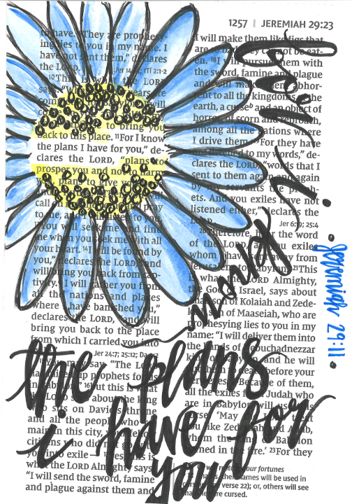 For I Know The Plans (Blue)
